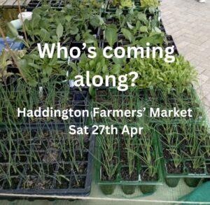 Haddington Farmers Market